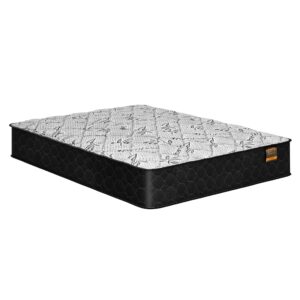 Matelas à ressorts 9"
